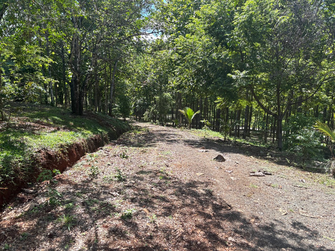 7-Hectare Farm with Teak Plantation, Existing Home & Eco-Development Potential Near Parrita, Costa Rica