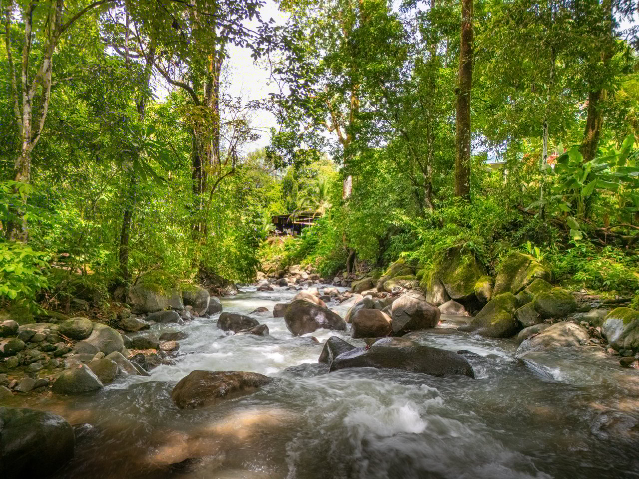 Plant Your Roots at Tierra Bendita! 2.5 Acres, River Frontage, 2 Bedroom Home, Private, Easy Access!