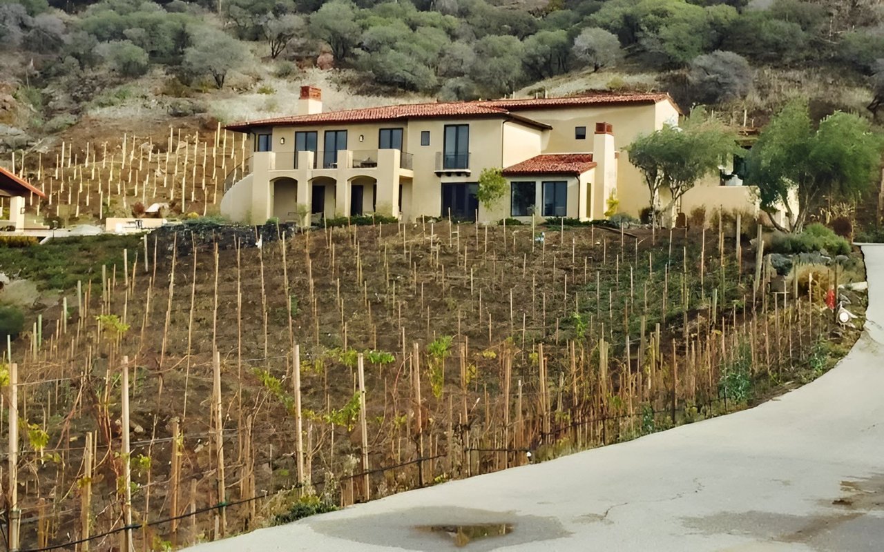Cream-colored hillside home above rows of grapevines, with wooded hills behind it.