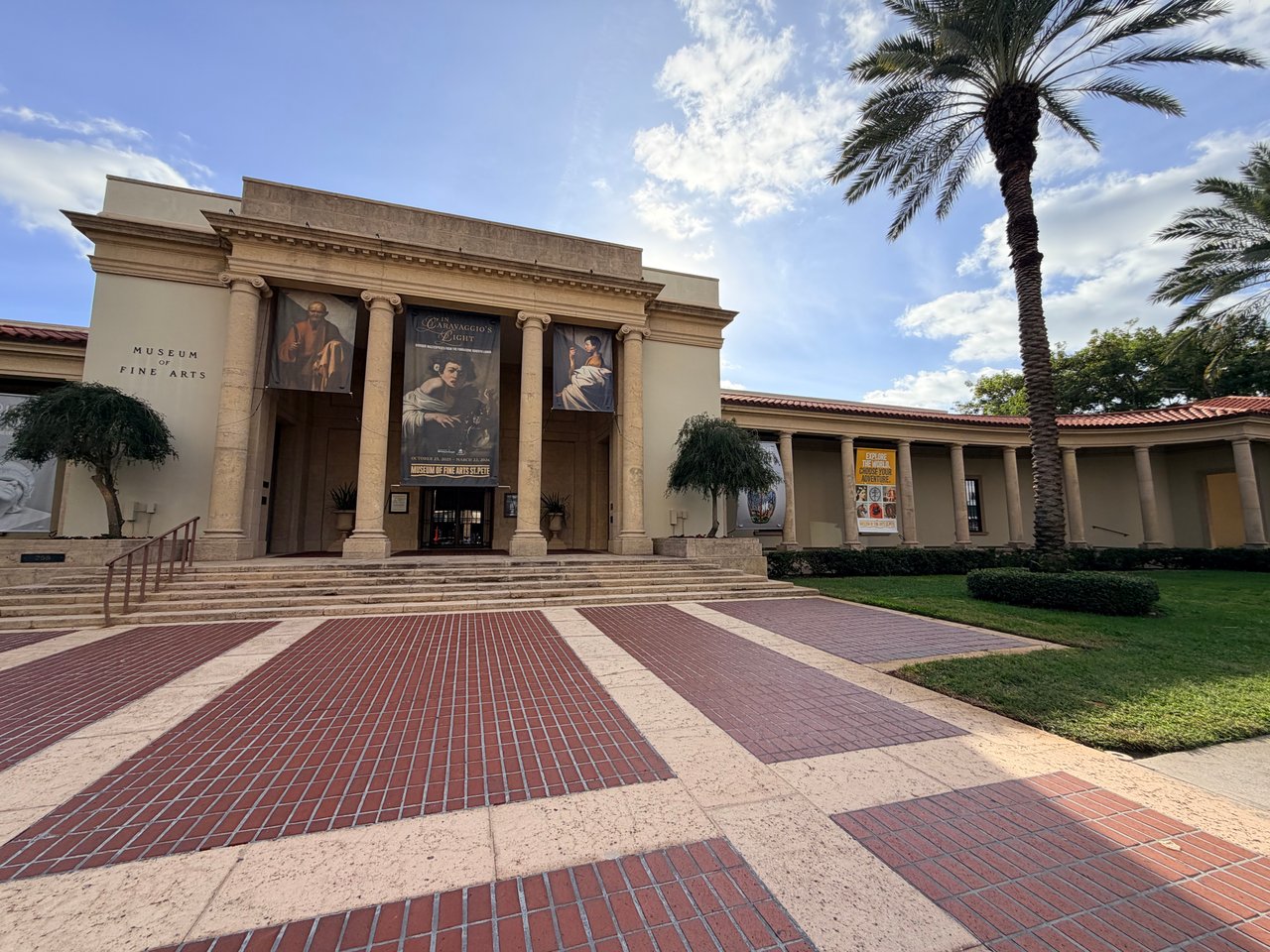 A Red Bloom on Beach Drive: The Story of St. Petersburg’s Beloved Kapok Tree