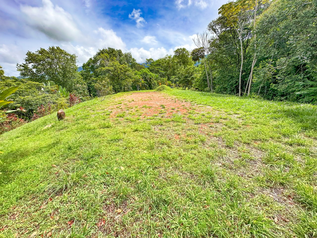 Ojochal Property for Sale – Cabins, Restaurant & 3-Bed Home