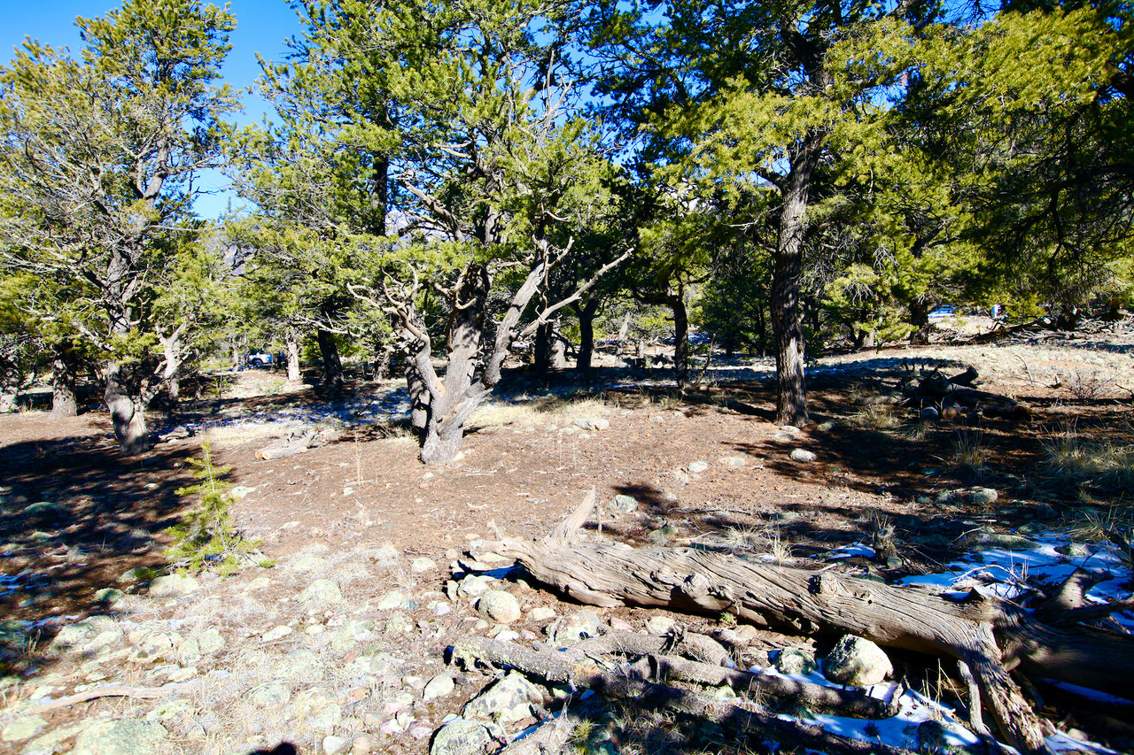 Condor Overlook Homesite