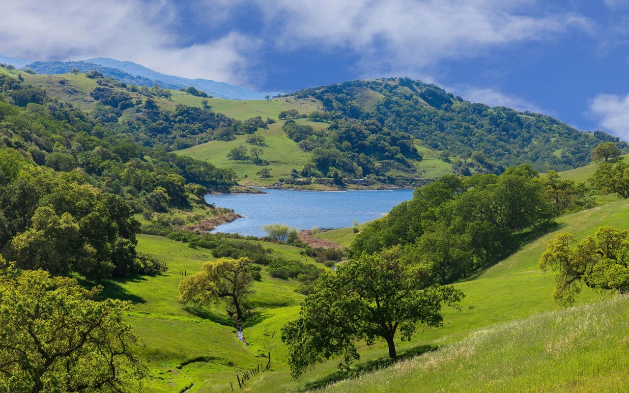 Grass Valley