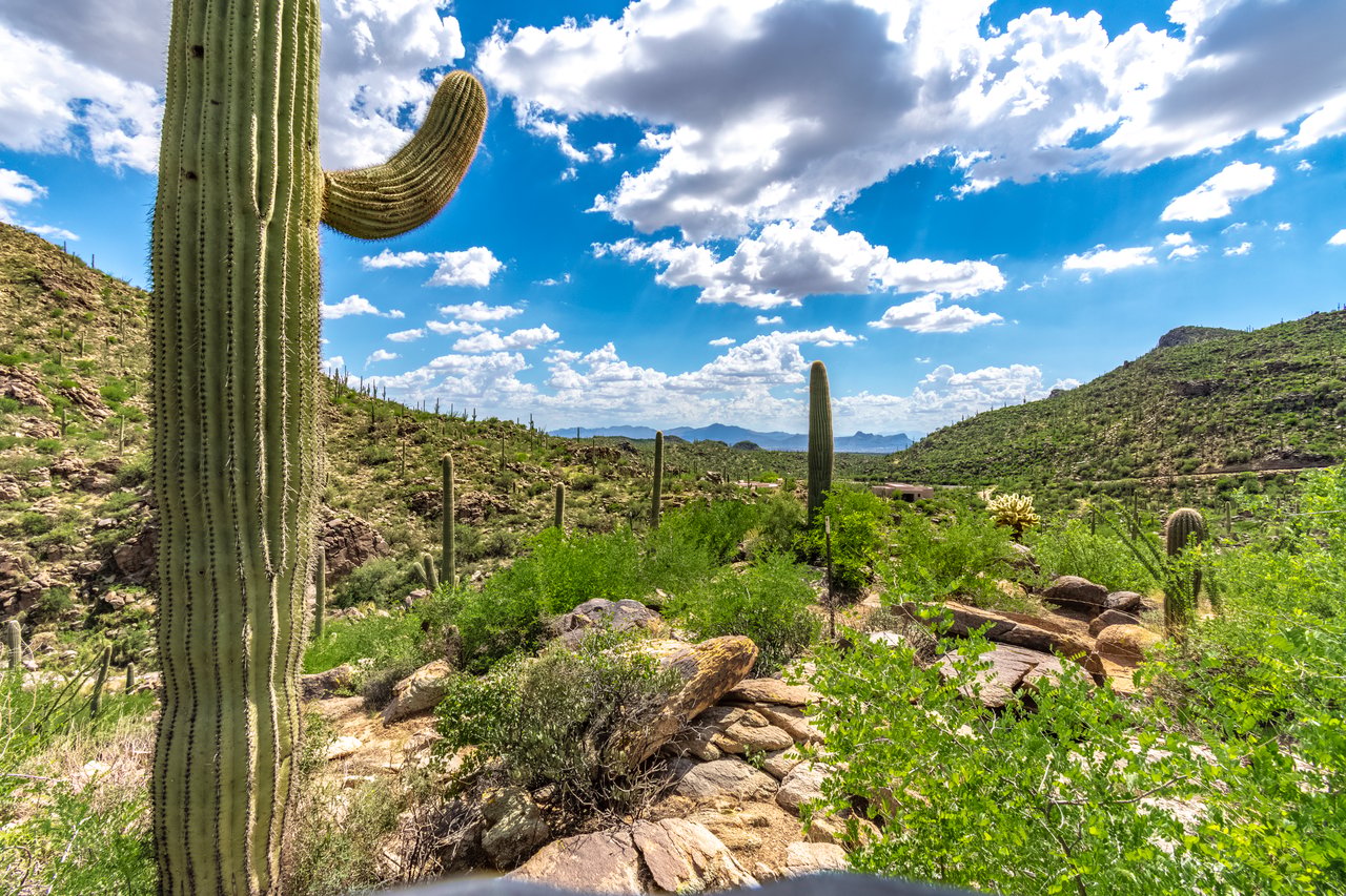 Lot #68: Elevated Living Above the Canyon Floor