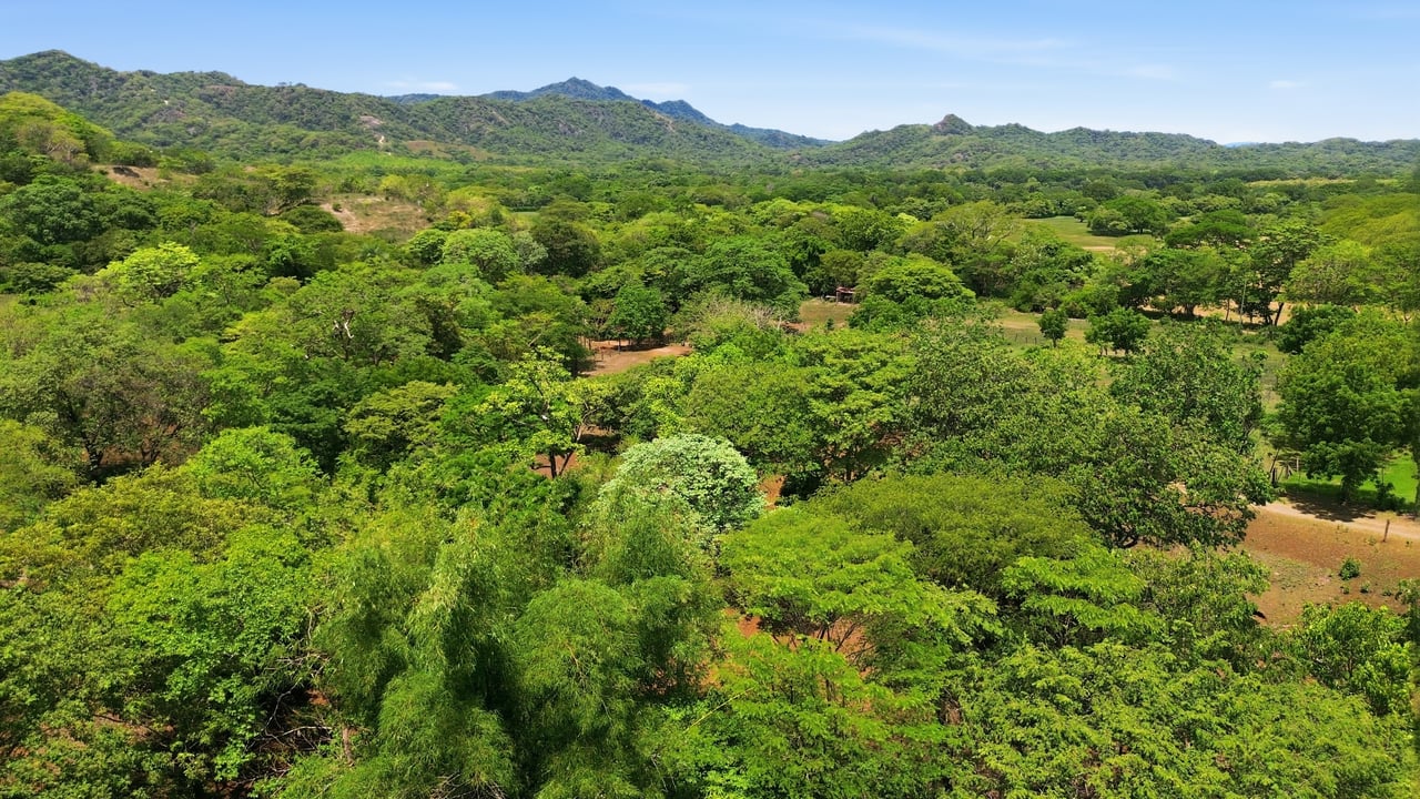 3.4 Acres of Quiet Country Living | 12 minutes from the Beach - Tempate 