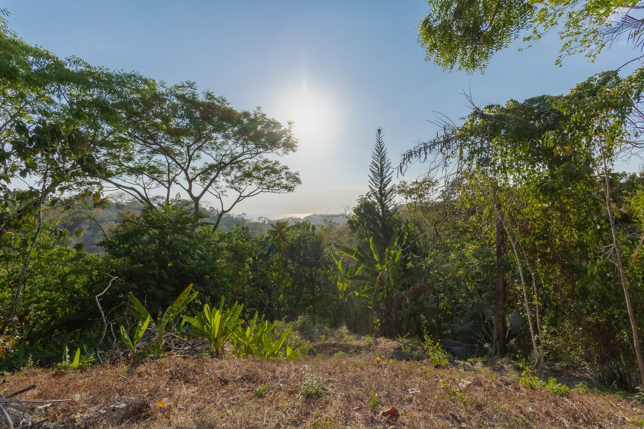 Exclusive Ocean View Development Homesite, Santa Teresa, Puntarenas