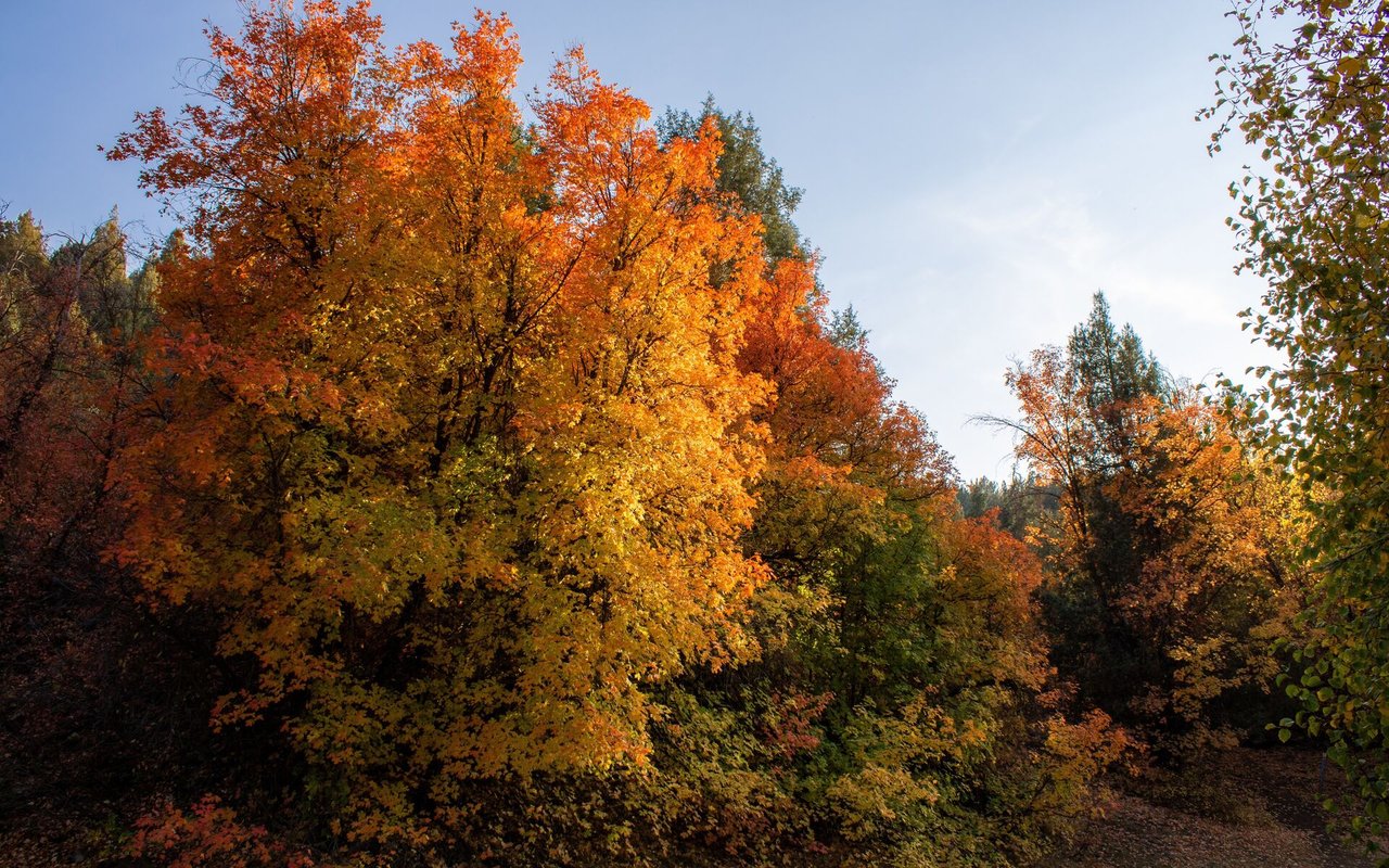 10 Ways to Get Your Home's Exterior Ready for Fall