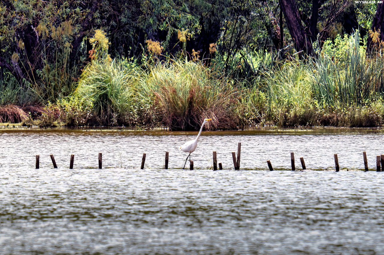 Ridgeland Reserve