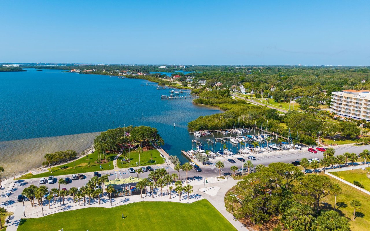 Palm Harbor / Dunedin