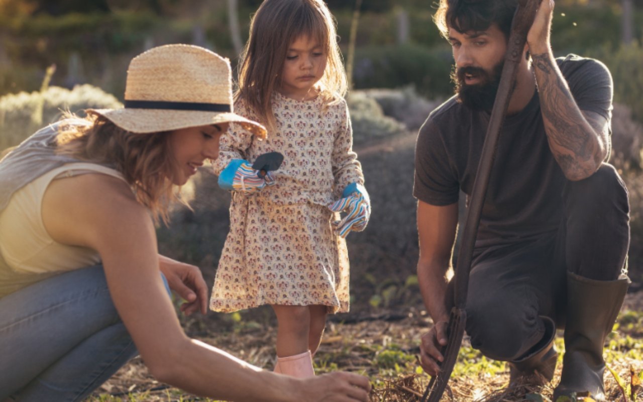 8 Things Every Homeowner Should Do Before Summer Ends