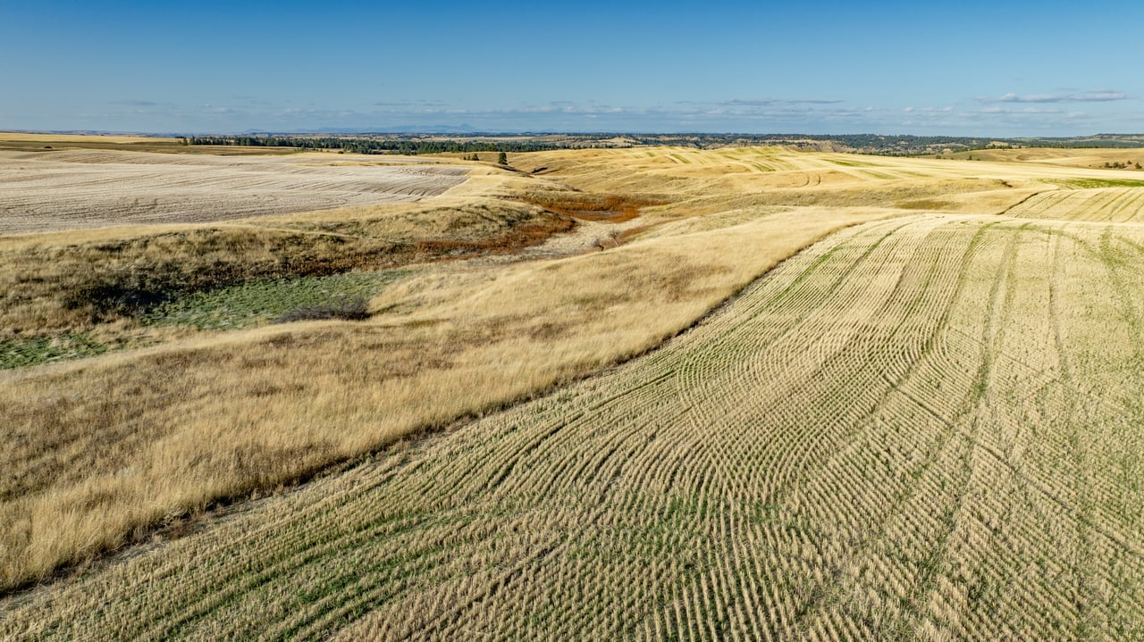 Salt Creek Ranch