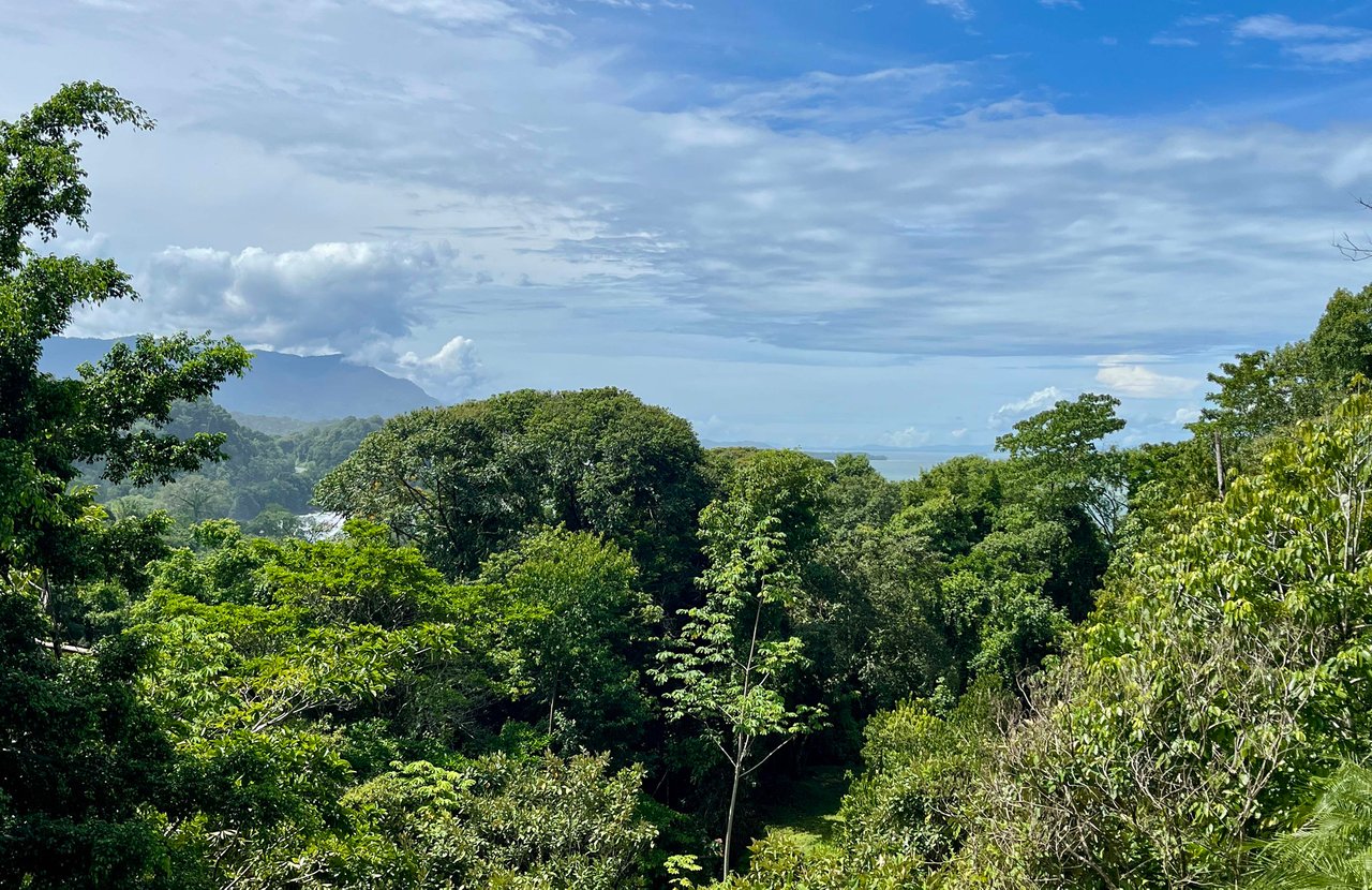 VILLA TURQUESA, MAJESTIC OASIS WITH EXTRA BUILDING SITE, CLOSE TO THE BEACH & WILDLIFE 