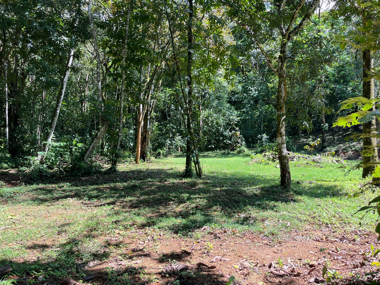 Tortuga Abajo Lot, Just before Ojochal.