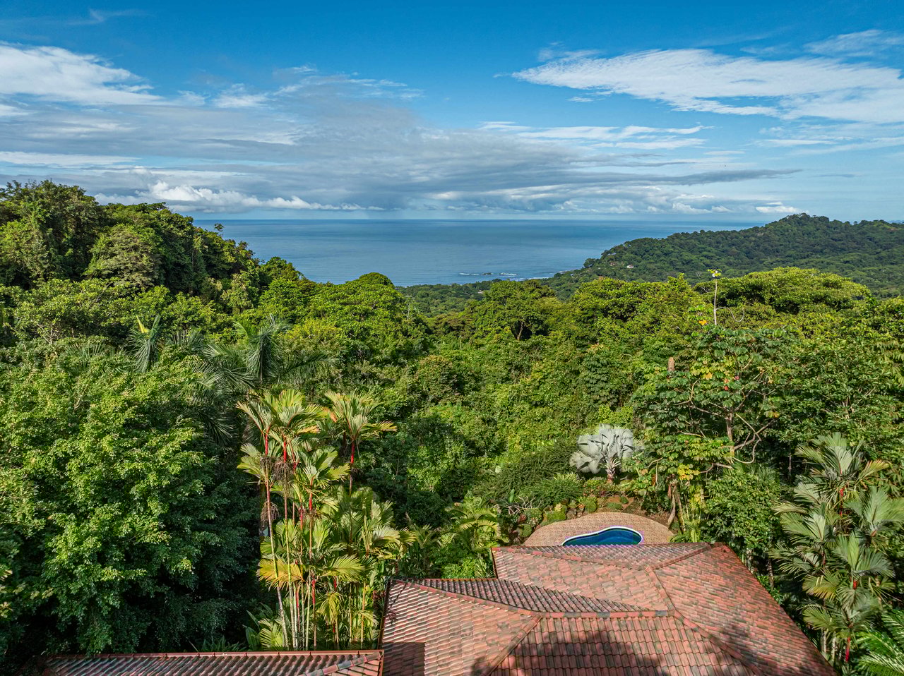 Ocean View Home on 5 acres with Stream