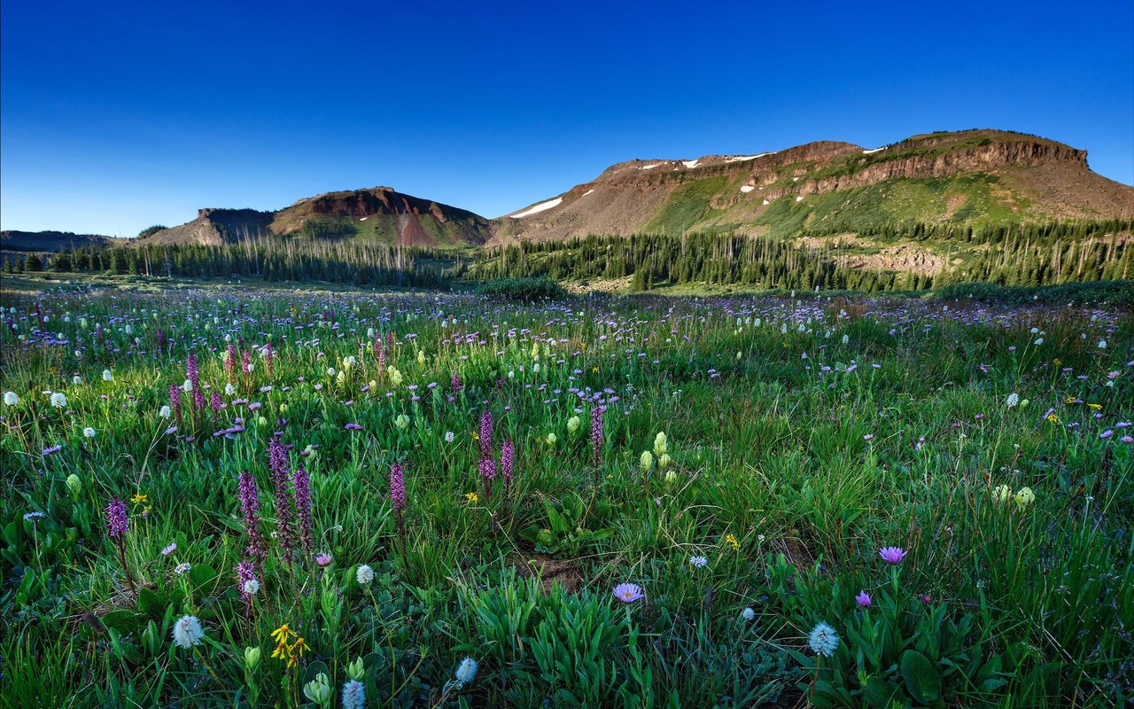 West Steamboat