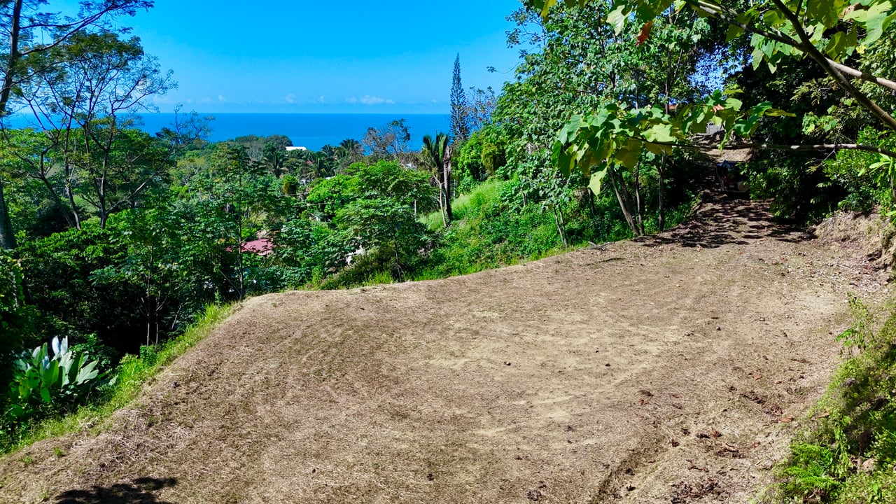 Ocean View Property in Playa Hermosa, Over 1.75 Acres