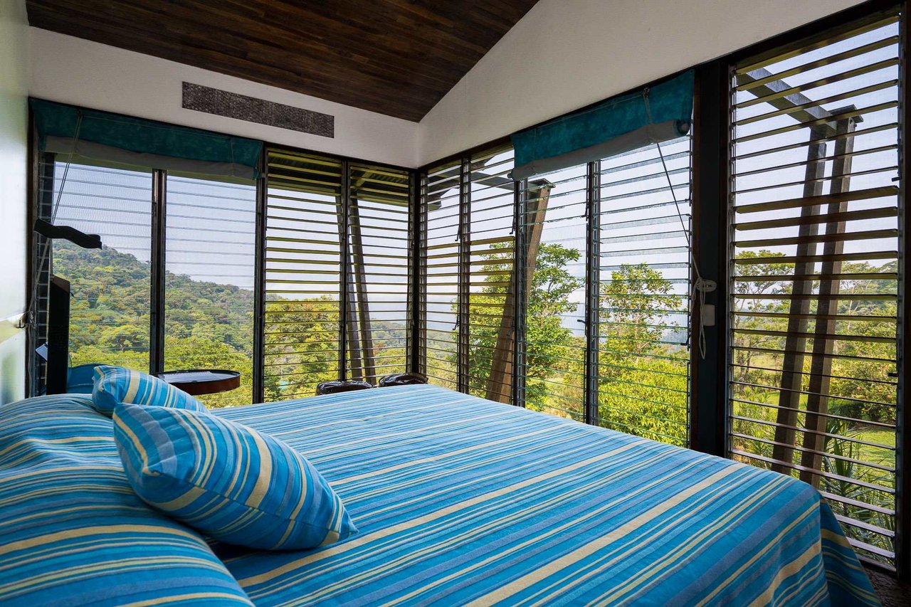 Celeste Mountain Lodge | Mountain Hotel/Resort/Hostel For Sale!