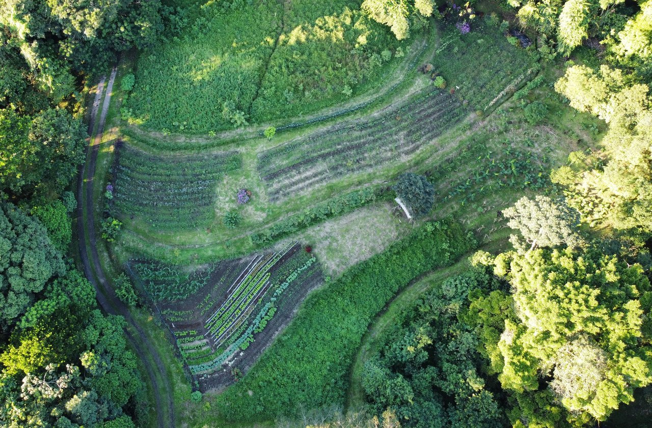 Organic Sustainable Lakefront Farm, Lake Arenal, Alajuela