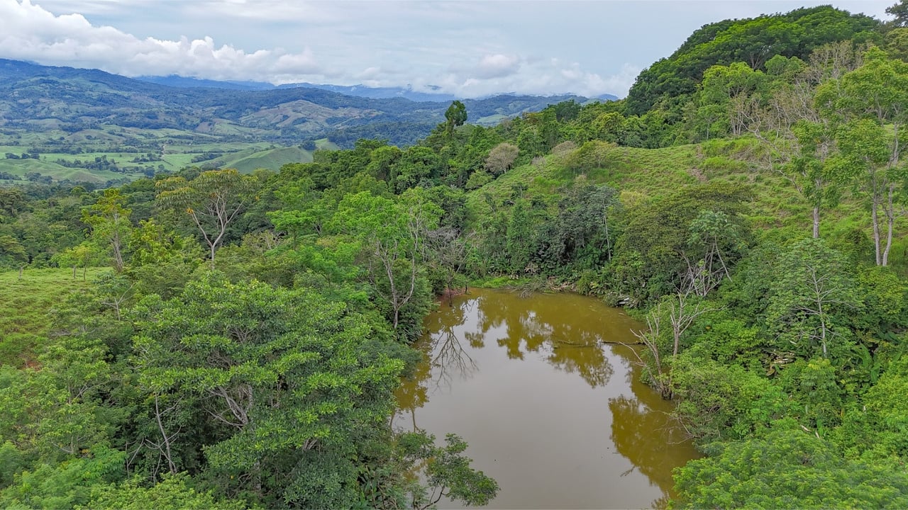 Waterfall Eco Resort Land, Dominical, Puntarenas