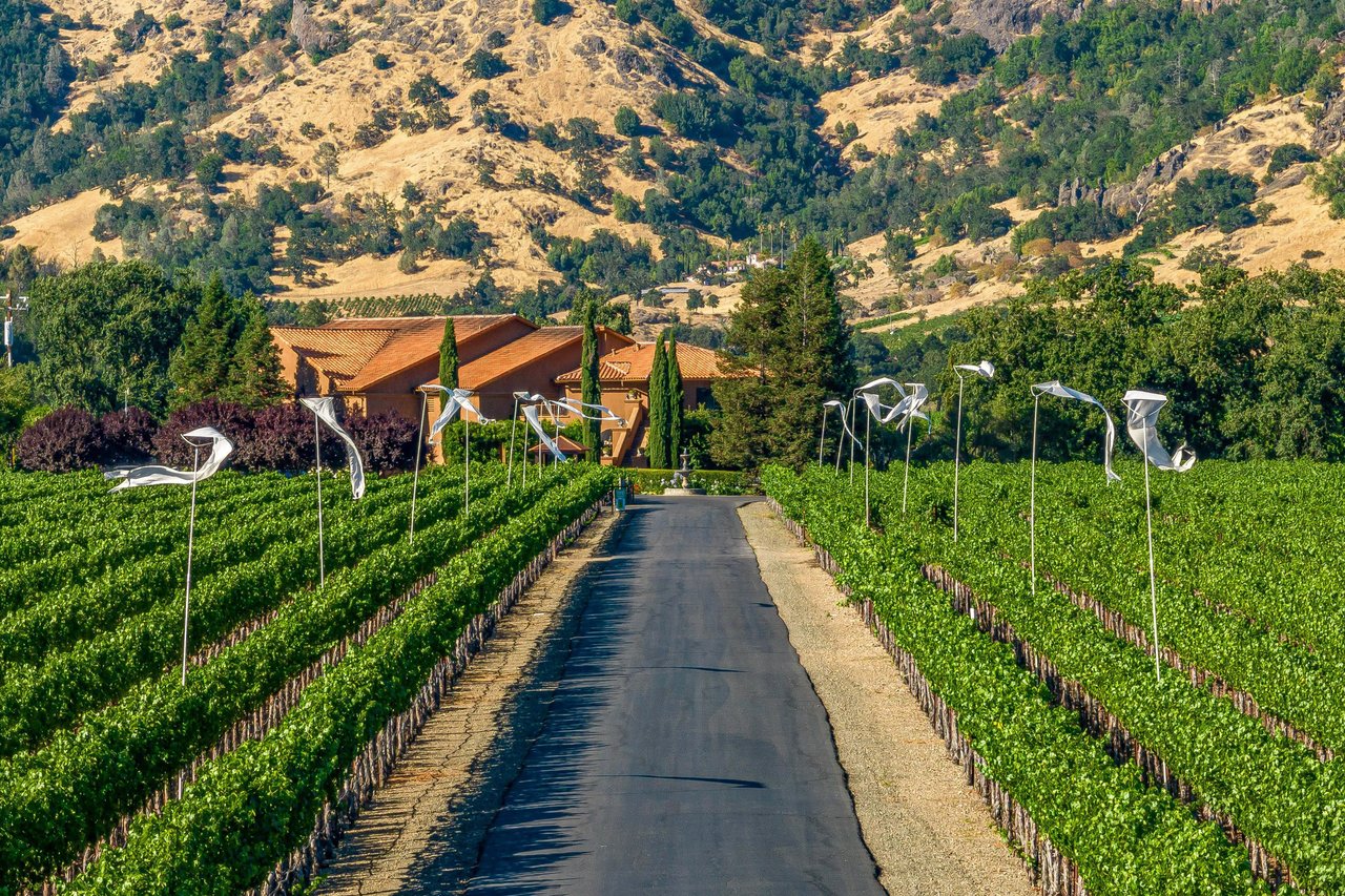 Bennett Lane Winery