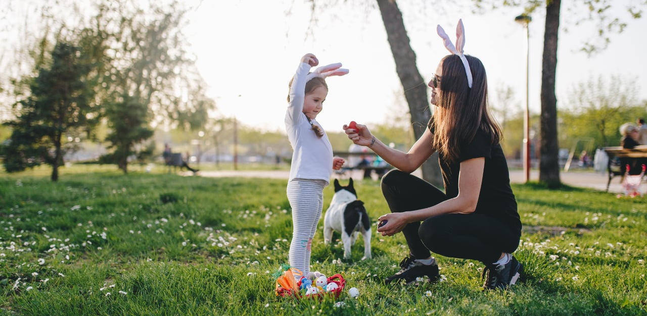 Spring Has Arrived in Napa Valley