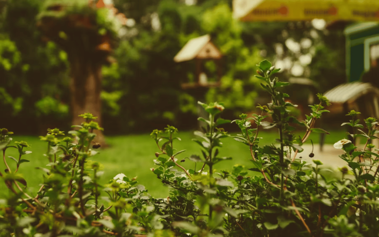 How to Renovate Your Backyard to Increase Home Value