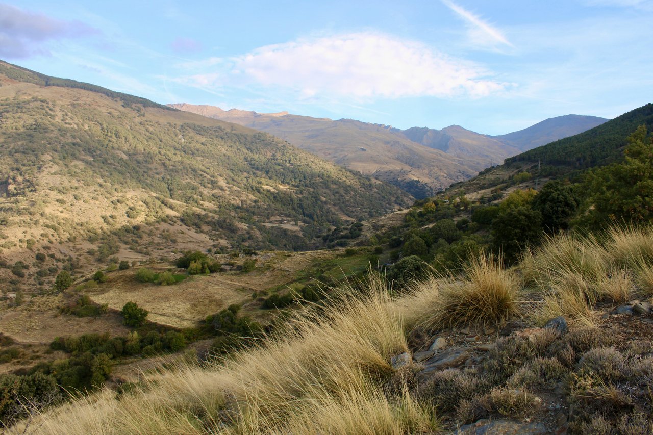 A wide view of rolling hills and open valleys with dry grasses and scattered trees, reflecting the natural terrain found on hiking trails in the San Fernando Valley.