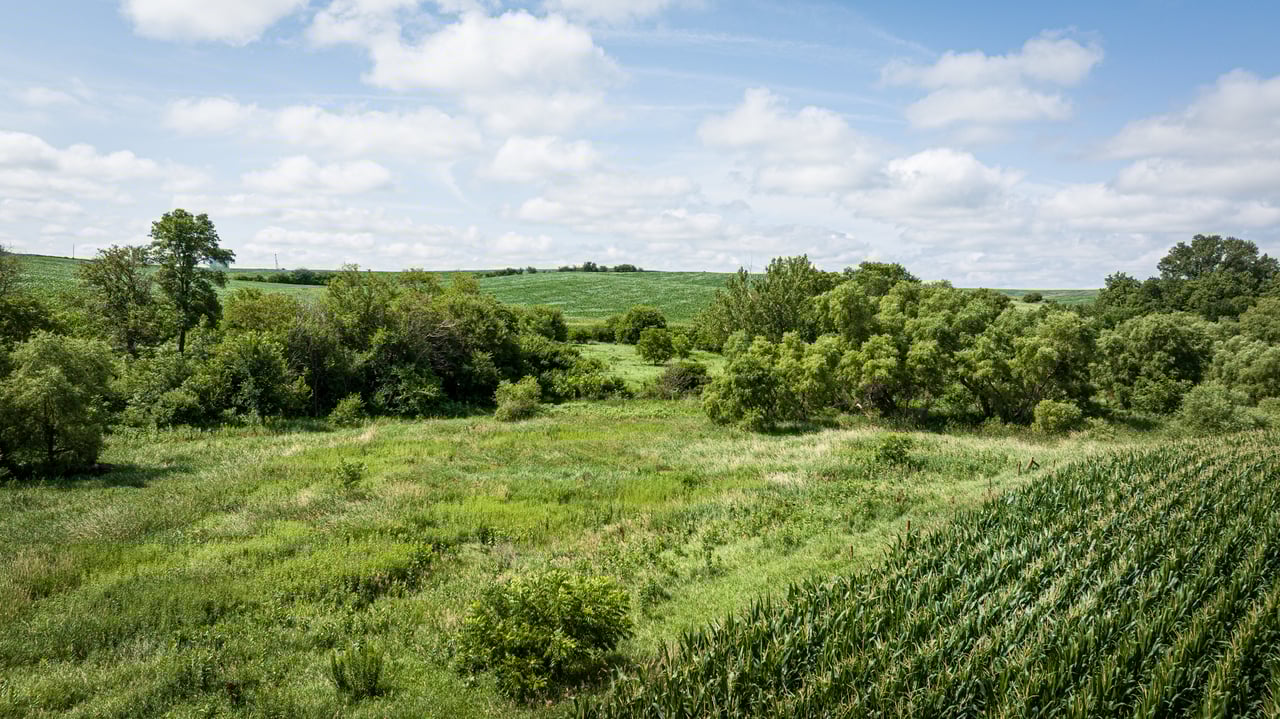 +/- 80 Acres E1/2 SE1/4 13-20-3 Adams Township, Colfax County, Nebraska