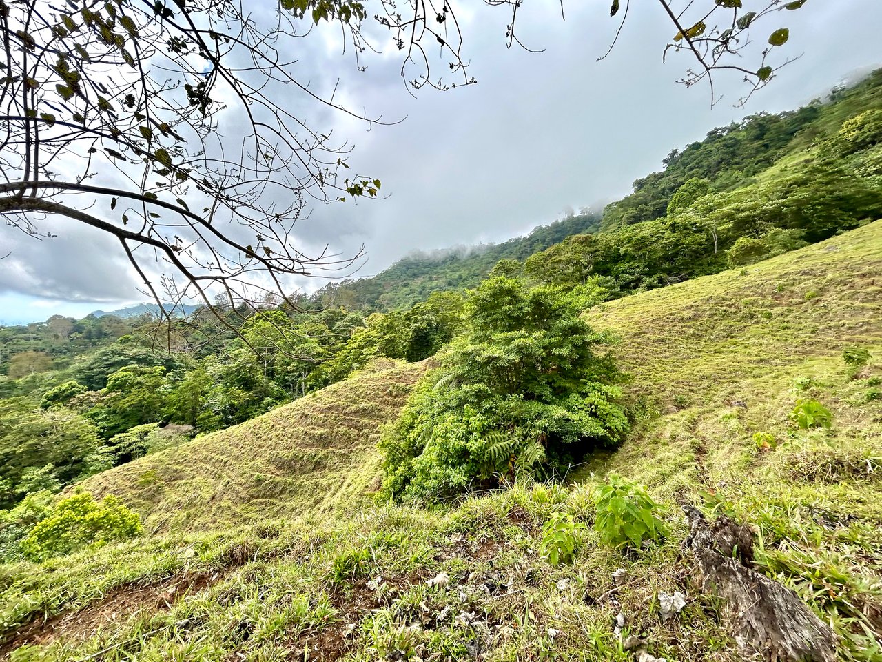 Gorgeous Land in San Luis Morete - Uvita - Over 17 Acres