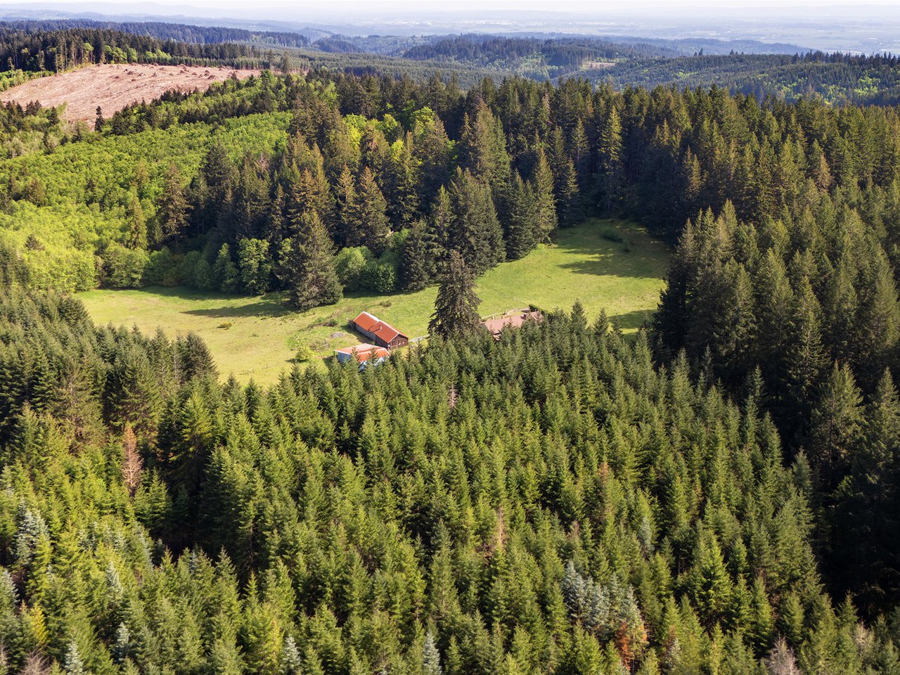 25420 NW PUMPKIN RIDGE RD