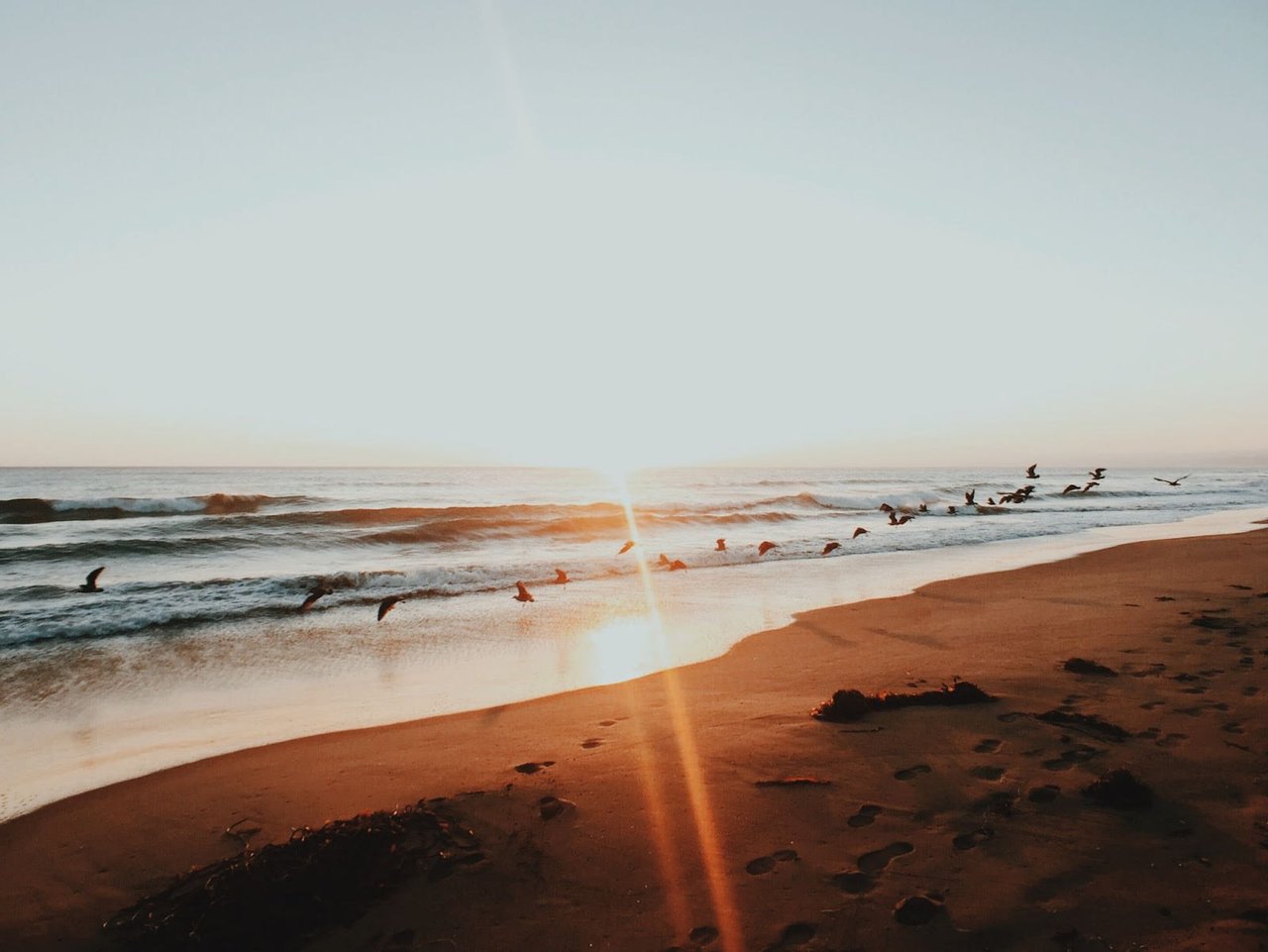 10 Best Beaches Near Santa Cruz