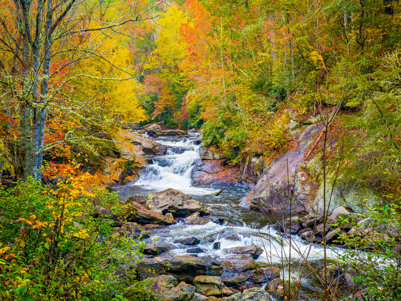 A river flows over rocks surrounded by trees with vibrant fall foliage in shades of orange, yellow, and red, creating a picturesque setting that could inspire real estate agents capturing stunning landscapes to enhance their listings.