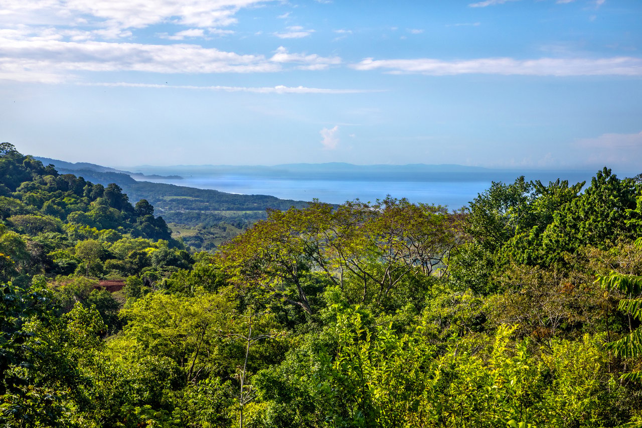 Rainforest Ridge Ocean View Ranch, Manuel Antonio, Puntarenas