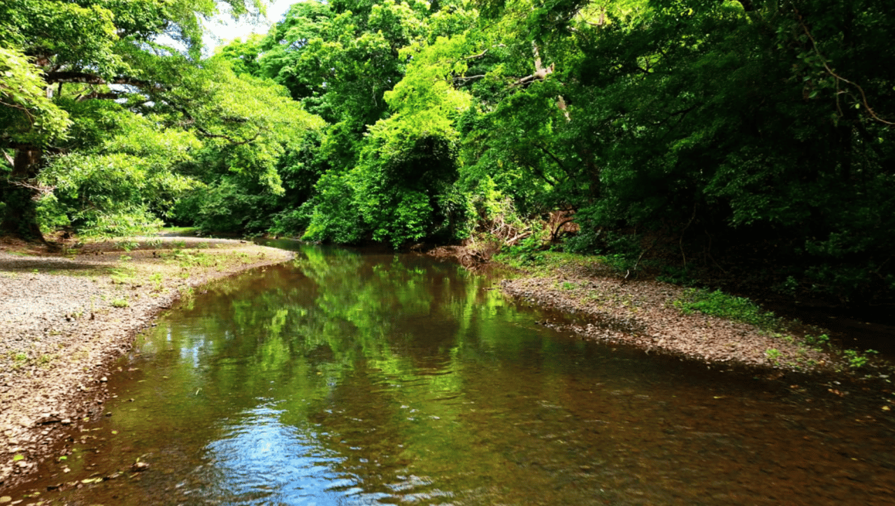 Eco Sanctuary In Playa Marbella - 250 Acre Riverfront