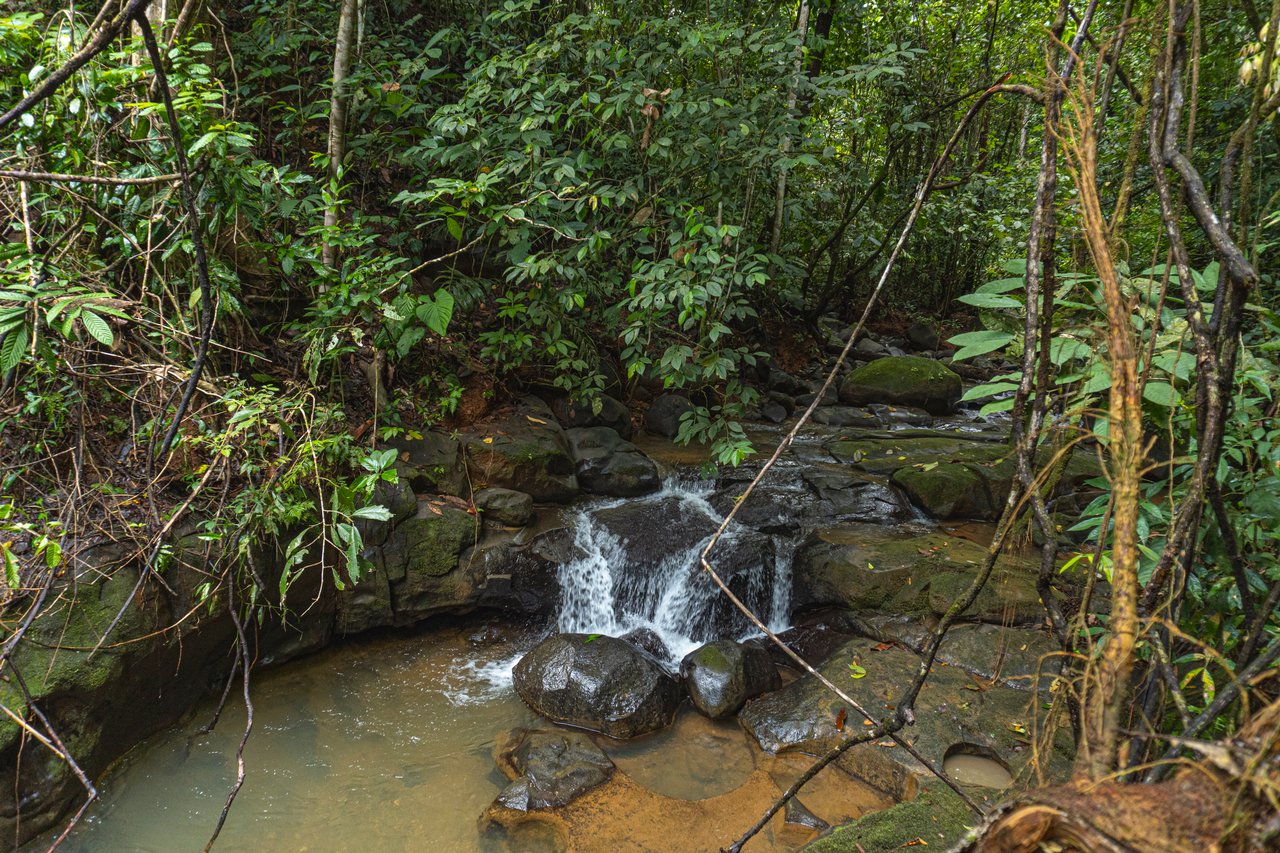 Serene Costa Rican Jungle Retreat with Waterfalls & Wildlife