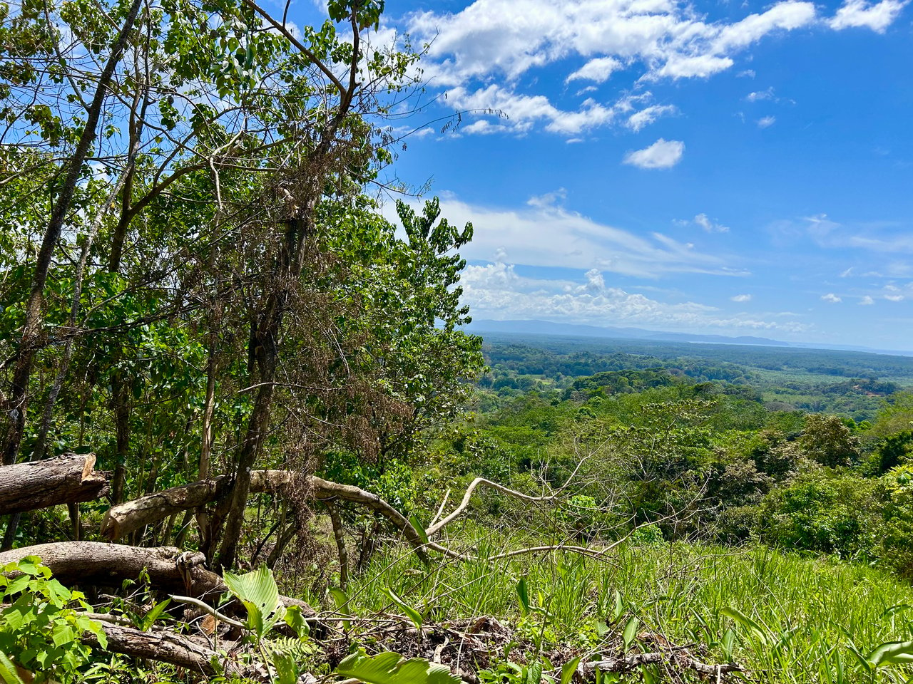 Ocean View Lot in San Buenas, Only $90K & Ready To Build