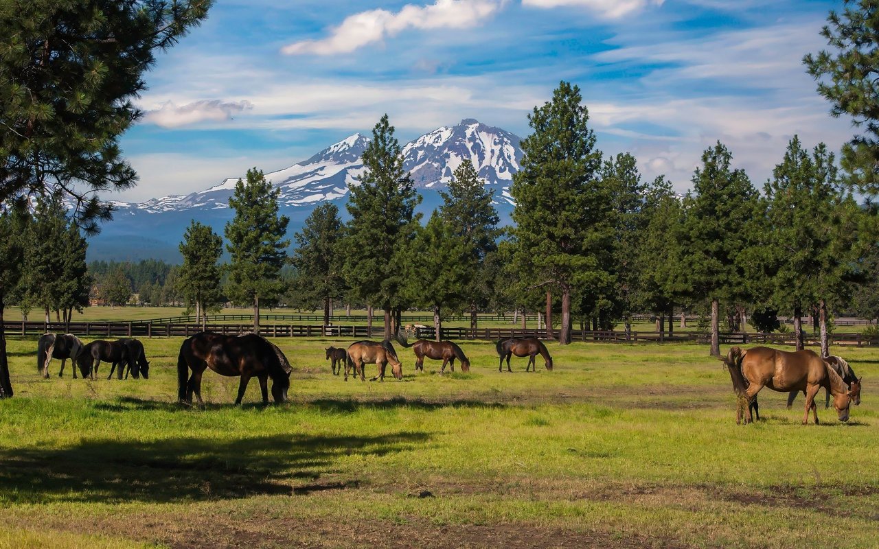 Prineville
