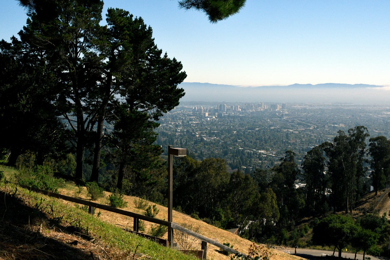 Cityscape viewed from a wooded hillside, framed by tall trees and a dry slope.