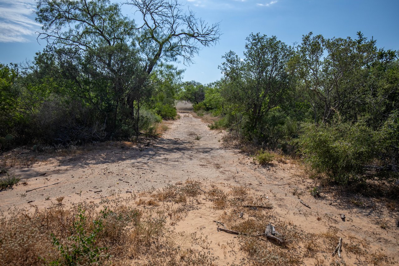 Oaks, Wildlife, & the Quiet of the Countryside | 26.99± Acres | Poteet, TX