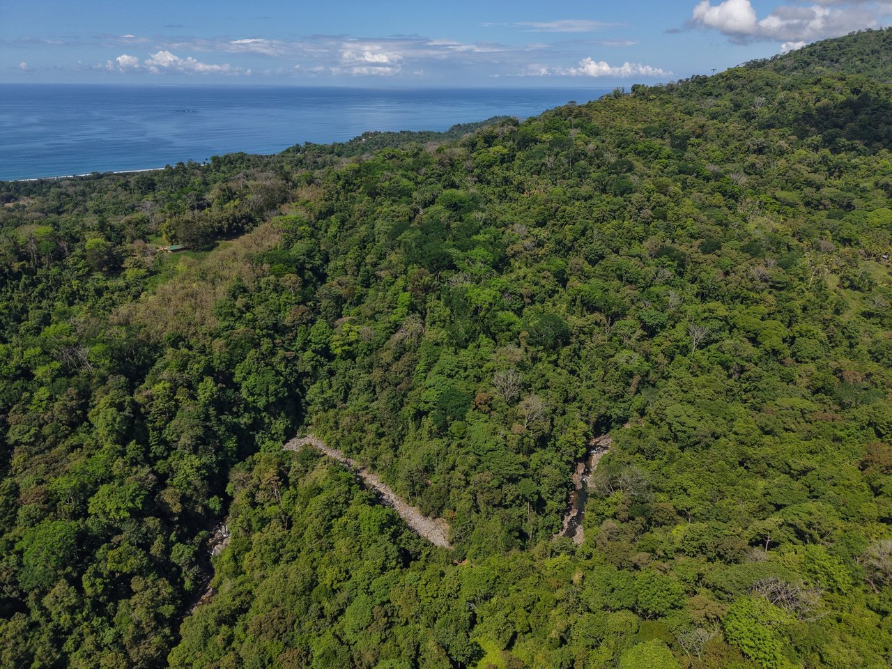 FINCA SAN JOSECITO | Prime 20-Hectare Ocean View Property for Sale in Uvita, Costa Rica