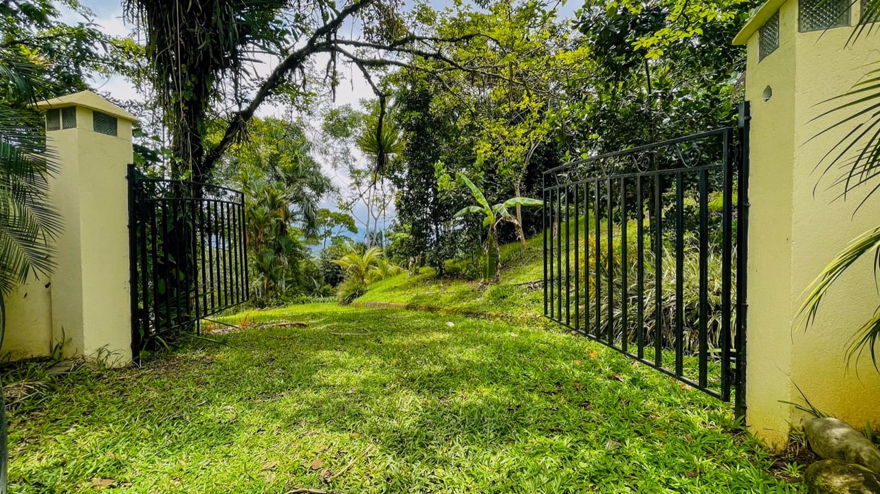 Scenic 2.53 Acres in Fila Cacao Ridge – Build-Ready Lot with Legal Water in Platanillo!