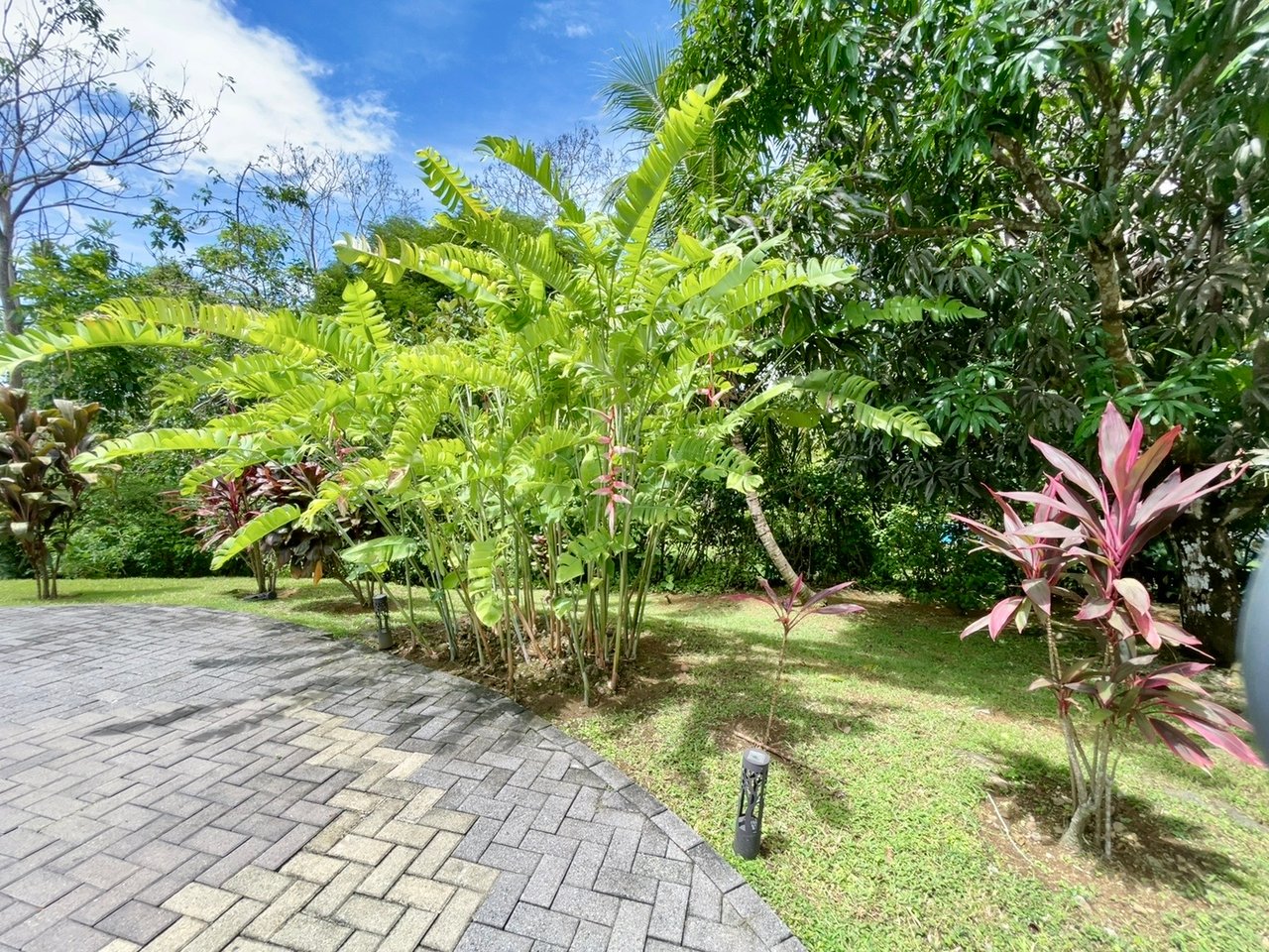 Casa Luna, 3bed /3bath Private Oasis, Convenient Location