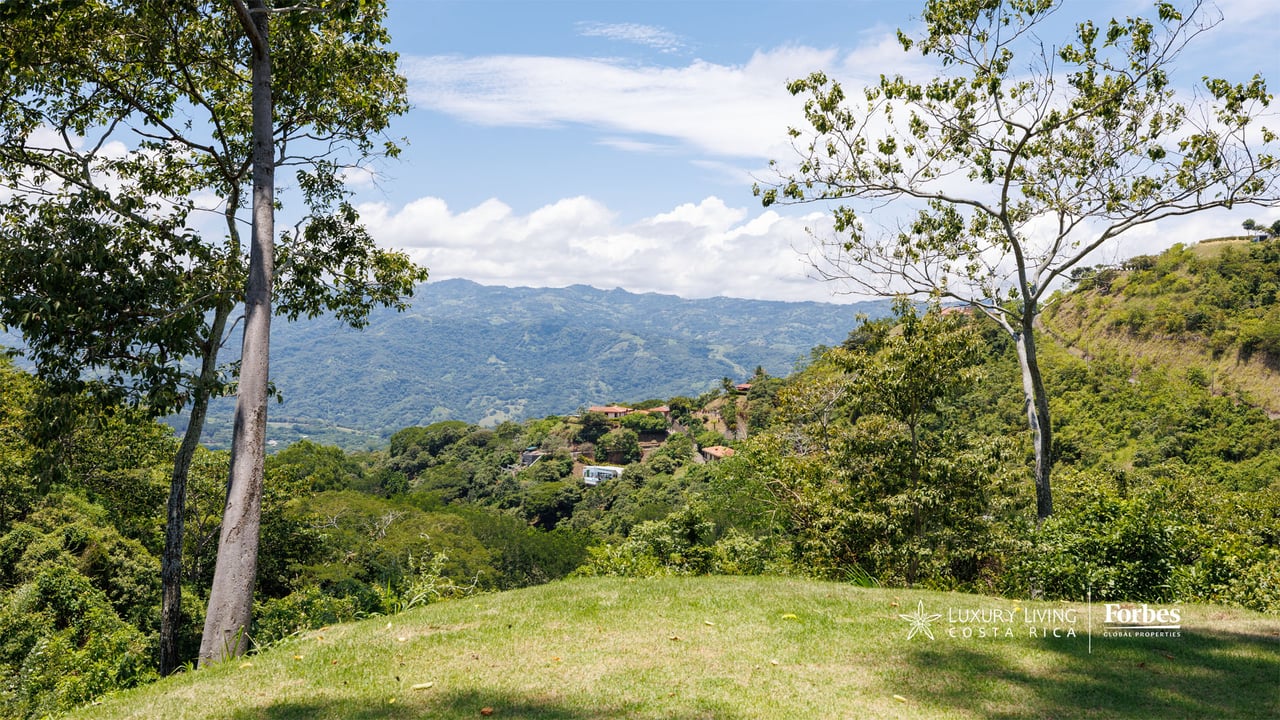 Mountain valley view framed by trees, with a grassy lawn in the foreground.