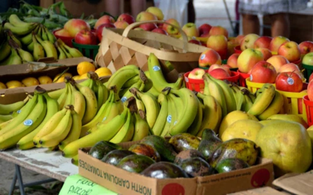 Tahoe City Farmer's Market is a Local Treasure