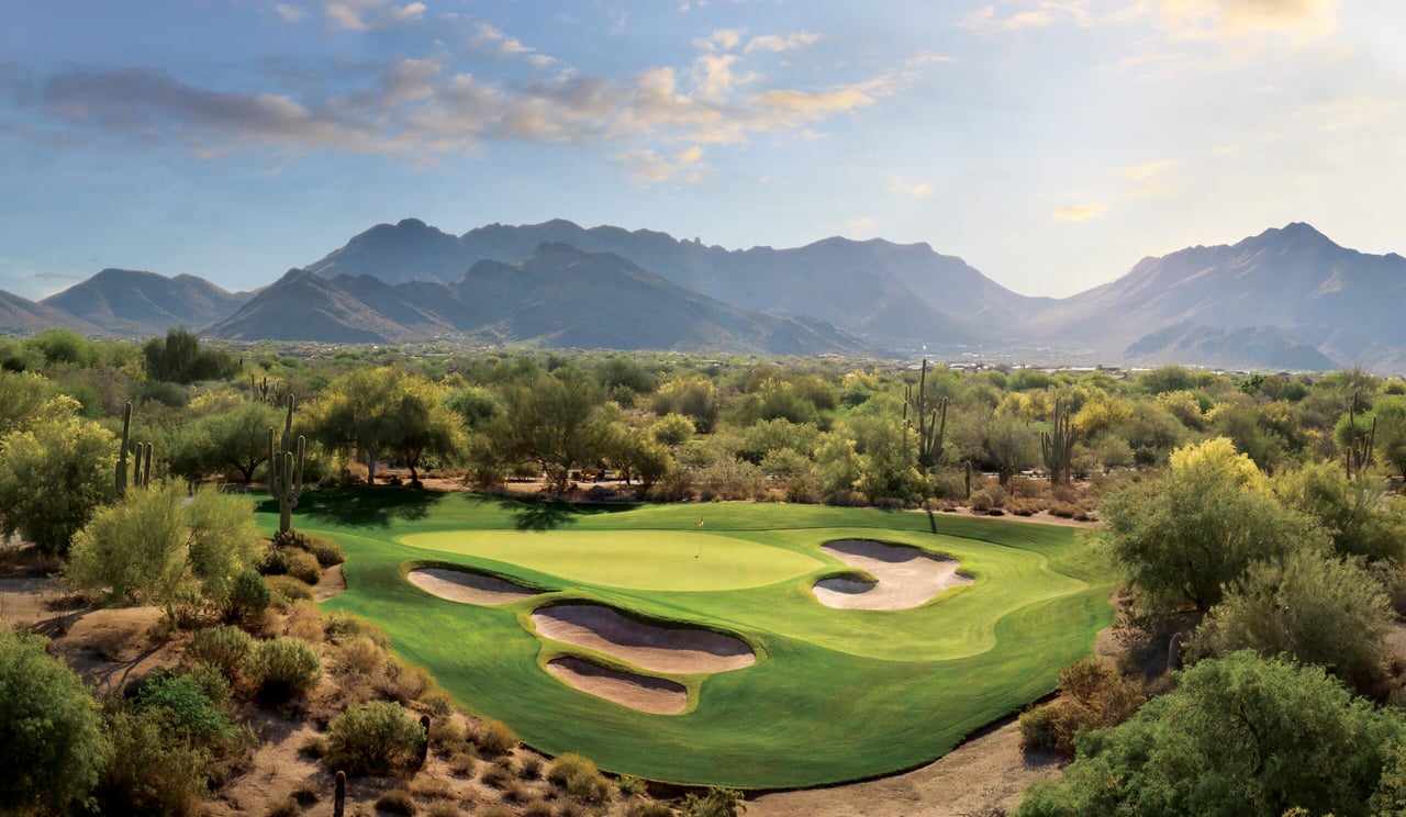 Grayhawk