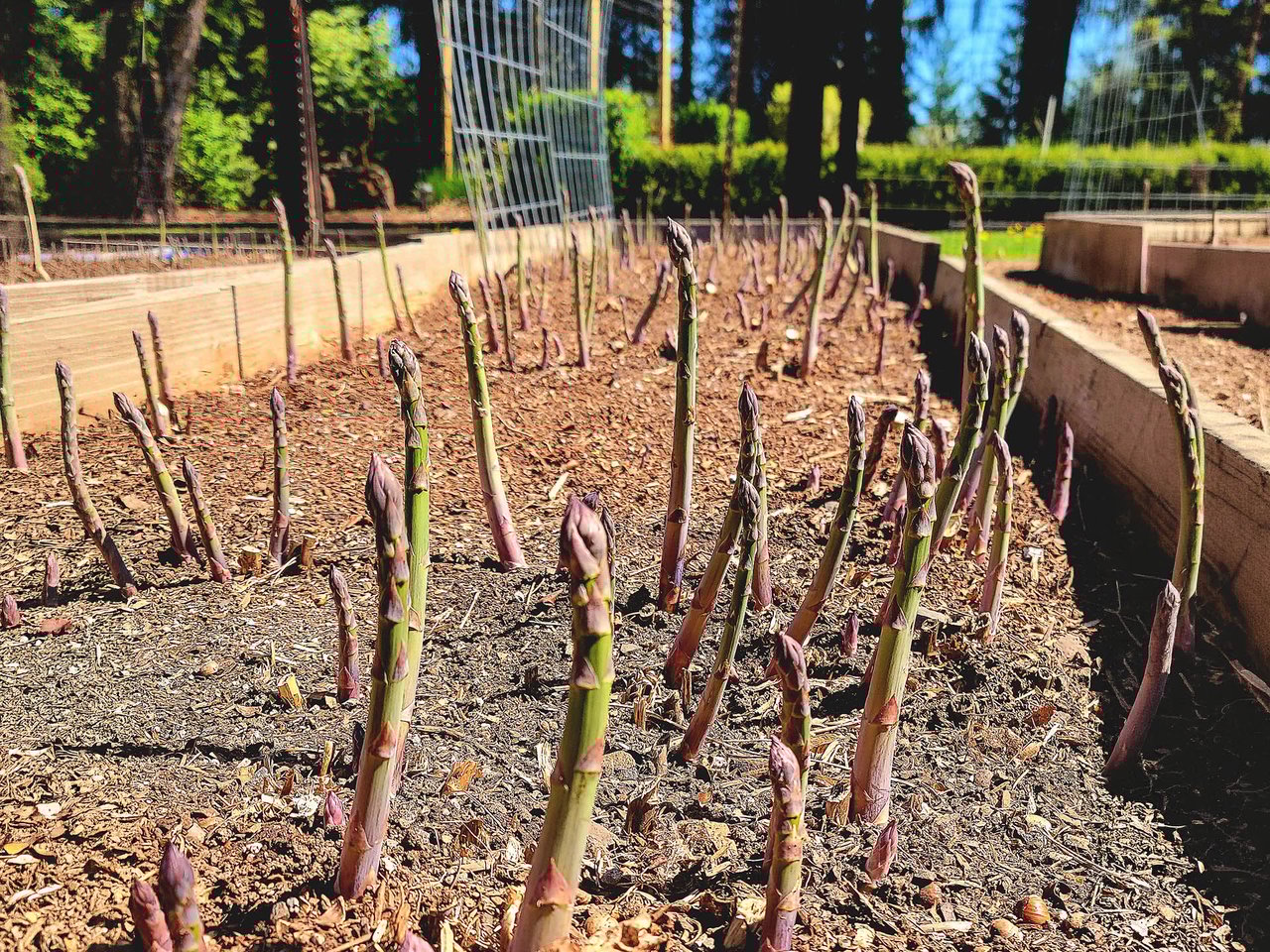 45045 NW ELK MOUNTAIN RD