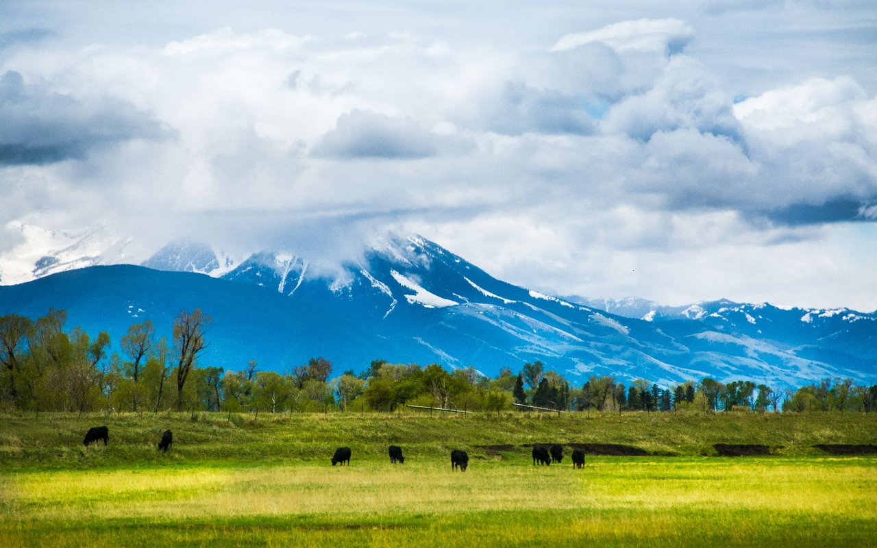 Greater Bozeman Area