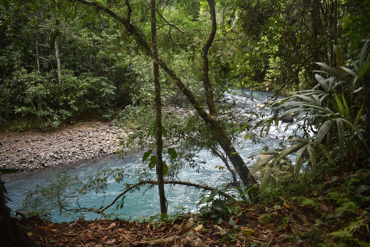 Villa Celeste Land | Embrace a unique 9-hectare Property along Rio Celeste