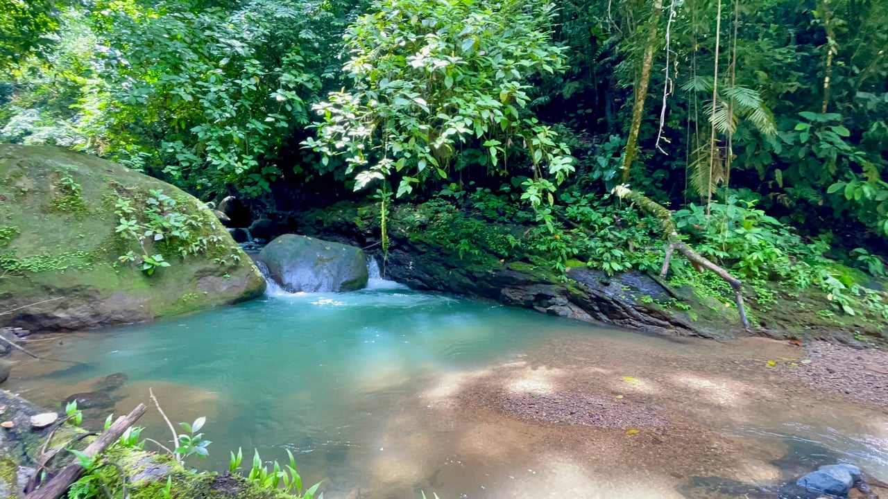 Over 123 Acres Farm in San Josecito De Morete, in Uvita Mountains