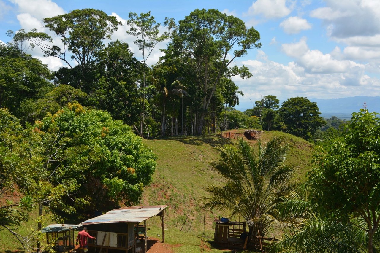 Expansive Ocean View Development Land, Osa, Puntarenas